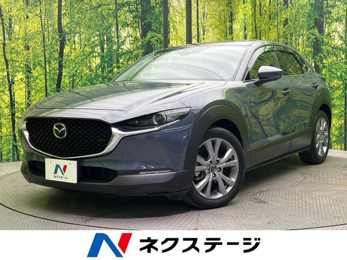 2019 Mazda CX-30 3DA-DM8P (UW-69f0669f9a82a)[3]