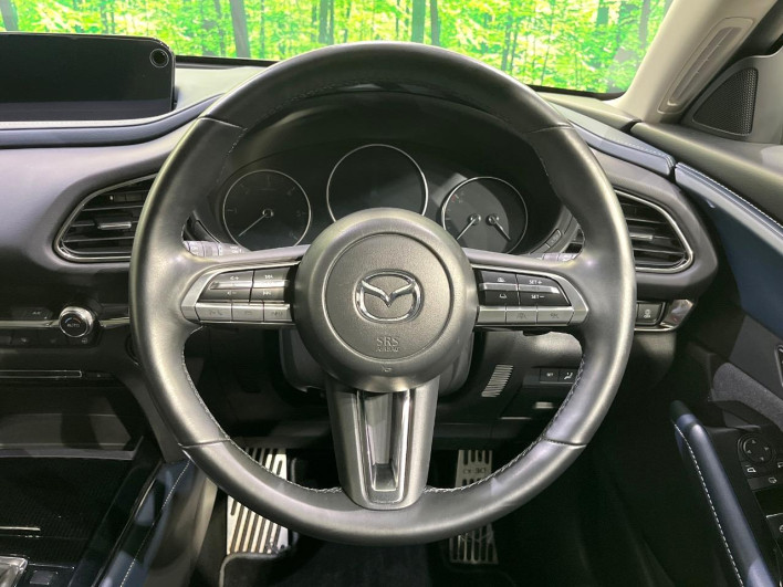 2022 Mazda CX-30 3DA-DM8P (UW-69f0669fc2779)[13]
