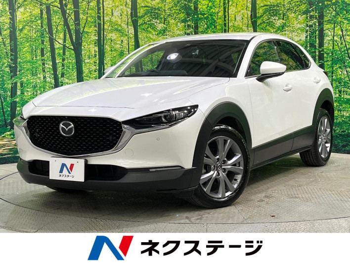 2022 Mazda CX-30 3DA-DM8P (UW-69f0669fc2779)[3]