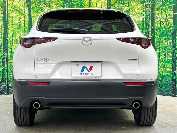 2022 Mazda CX-30 3DA-DM8P (UW-69f0669fc2779)[24]