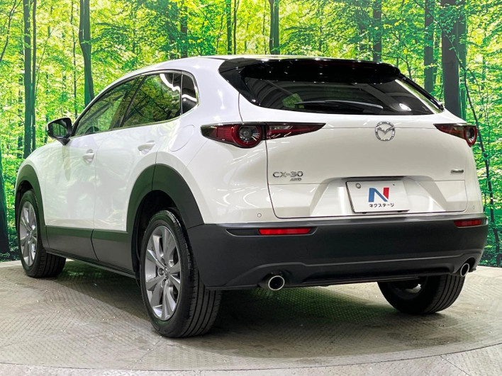 2022 Mazda CX-30 3DA-DM8P (UW-69f0669fc2779)[25]