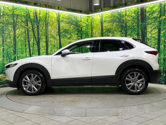 2022 Mazda CX-30 3DA-DM8P (UW-69f0669fc2779)[26]