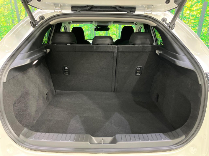 2022 Mazda CX-30 3DA-DM8P (UW-69f0669fc2779)[20]