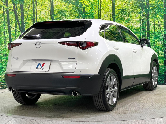 2022 Mazda CX-30 3DA-DM8P (UW-69f0669fc2779)[23]