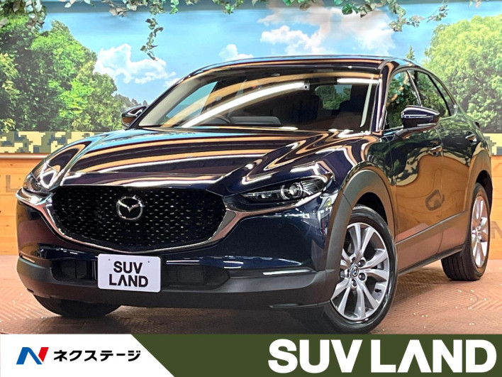 2023 Mazda CX-30 5AA-DMEJ3P (UW-69f066a0c1ad4)[3]