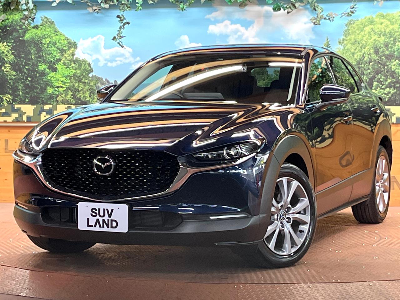 2023 Mazda CX-30 5AA-DMEJ3P