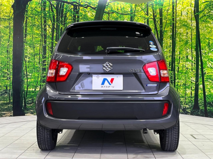 2017 Suzuki Ignis DAA-FF21S (UW-69f066acc7efc)[22]