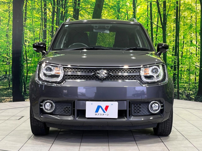 2017 Suzuki Ignis DAA-FF21S (UW-69f066acc7efc)[19]
