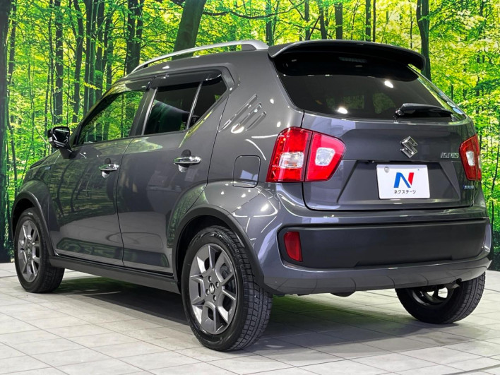 2017 Suzuki Ignis DAA-FF21S (UW-69f066acc7efc)[21]