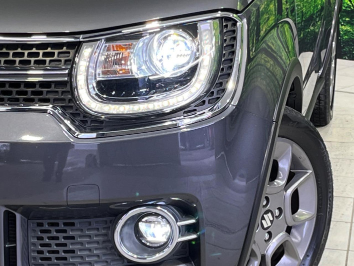 2017 Suzuki Ignis DAA-FF21S (UW-69f066acc7efc)[16]