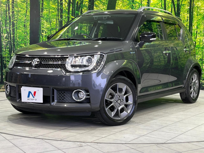 2017 Suzuki Ignis DAA-FF21S (UW-69f066acc7efc)[0]