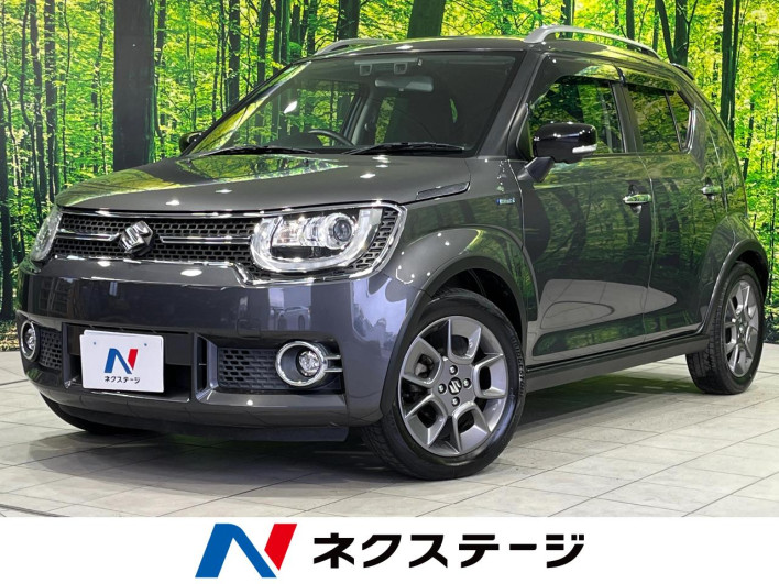 2017 Suzuki Ignis DAA-FF21S (UW-69f066acc7efc)[3]