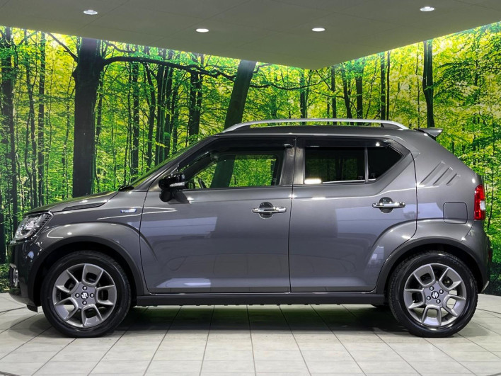 2017 Suzuki Ignis DAA-FF21S (UW-69f066acc7efc)[20]