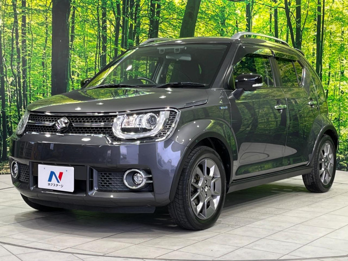 2017 Suzuki Ignis DAA-FF21S (UW-69f066acc7efc)[18]