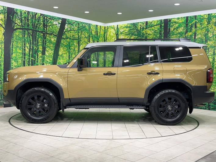 2024 Toyota Land Cruiser 250 3DA-GDJ250W (UW-69f066b72fe66)[10]