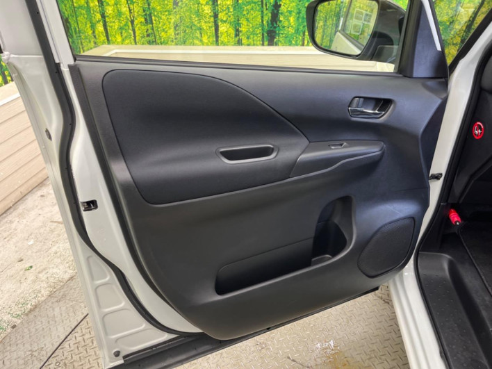 2019 Nissan Serena DAA-GFC27 (UW-69f066bb0de17)[22]