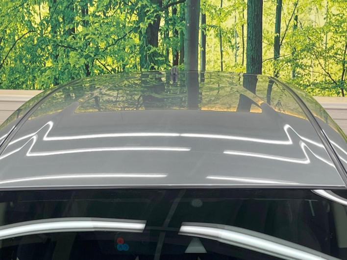 2017 Nissan Note DAA-HE12 (UW-69f066d56a679)[5]