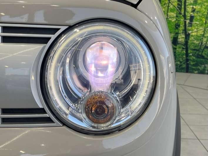 2016 Suzuki ALTO Lapin DBA-HE33S (UW-69f066d7d8a6a)[7]