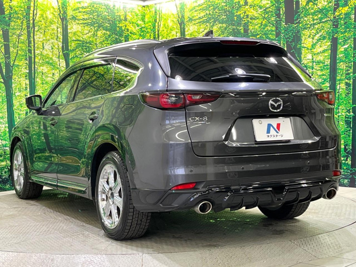 2023 Mazda CX-8 3da-kg2p (UW-69f0670547ae8)[27]