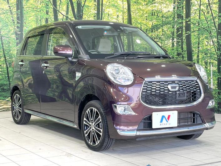 2016 Daihatsu Cast DBA-LA250S (UW-69f0670d8388a)[16]