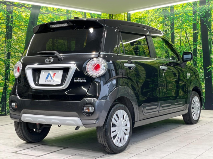 2019 Daihatsu Cast DBA-LA250S (UW-69f0670f3c0c1)[10]