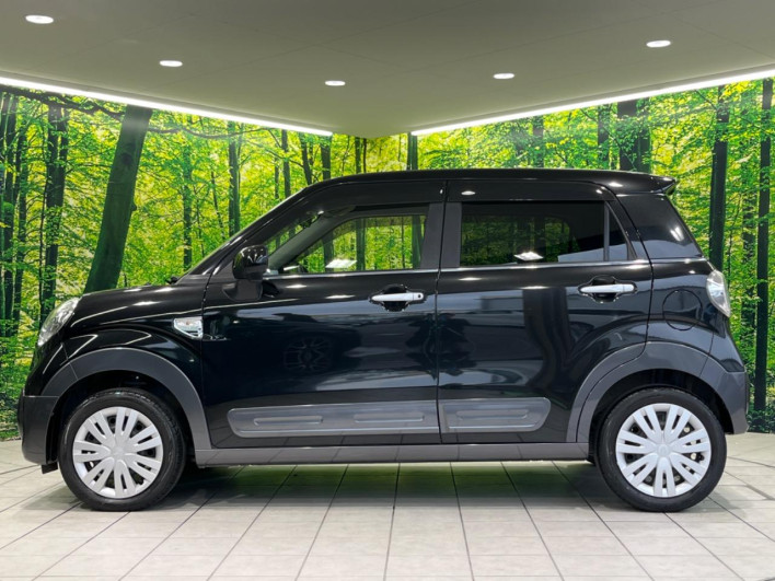 2019 Daihatsu Cast DBA-LA250S (UW-69f0670f3c0c1)[13]