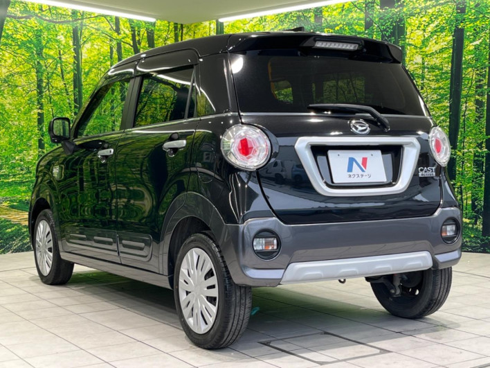 2019 Daihatsu Cast DBA-LA250S (UW-69f0670f3c0c1)[12]