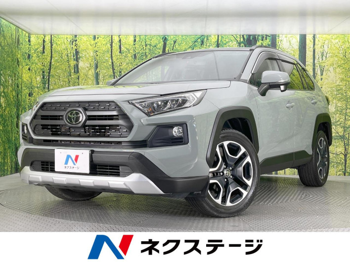 2019 Toyota RAV4 6BA-MXAA54 (UW-69f0675088f29)[3]