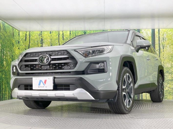 2019 Toyota RAV4 6BA-MXAA54 (UW-69f0675088f29)[16]