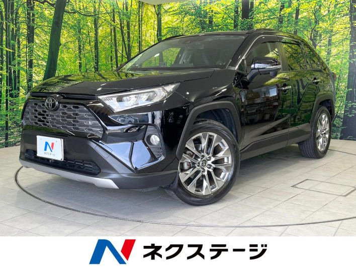 2019 Toyota RAV4 6BA-MXAA54 (UW-69f06750b214a)[3]