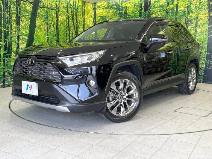 2019 Toyota RAV4 6BA-MXAA54 (UW-69f06750b214a)[0]