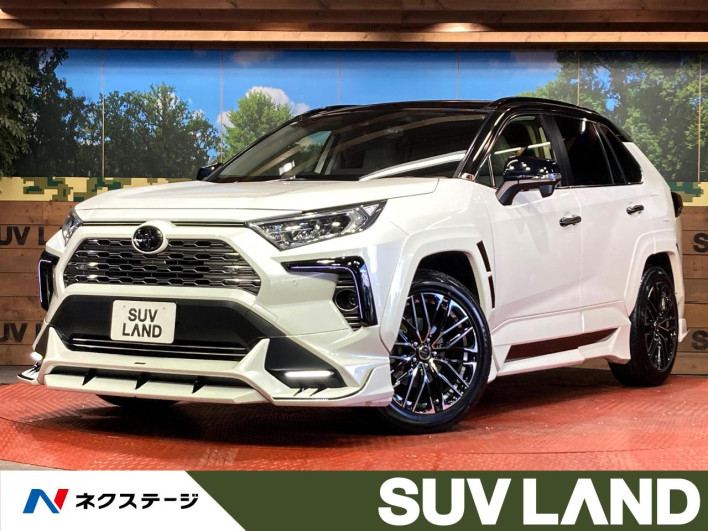 2019 Toyota RAV4 6BA-MXAA54 (UW-69f06752a4bb1)[3]