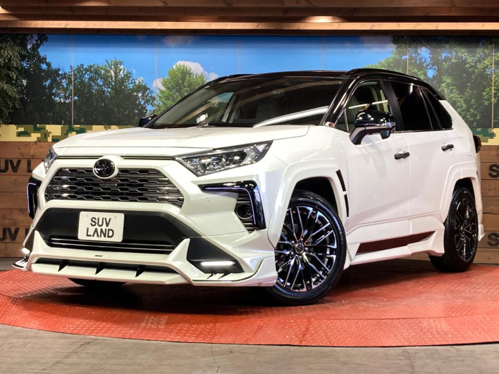 2019 Toyota RAV4 6BA-MXAA54 (UW-69f06752a4bb1)[0]