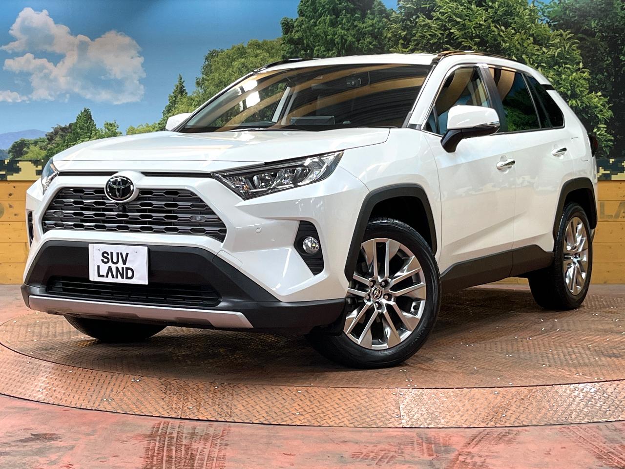 2021 Toyota RAV4 6BA-MXAA54