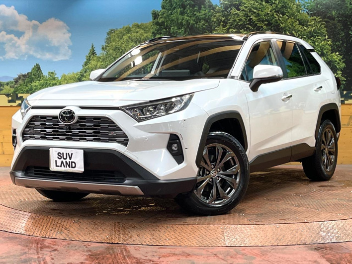 2023 Toyota RAV4 6BA-MXAA54 (UW-69f0675492f50)[0]