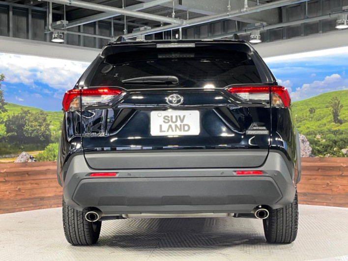 2024 Toyota RAV4 6BA-MXAA54 (UW-69f06754c4fcd)[10]