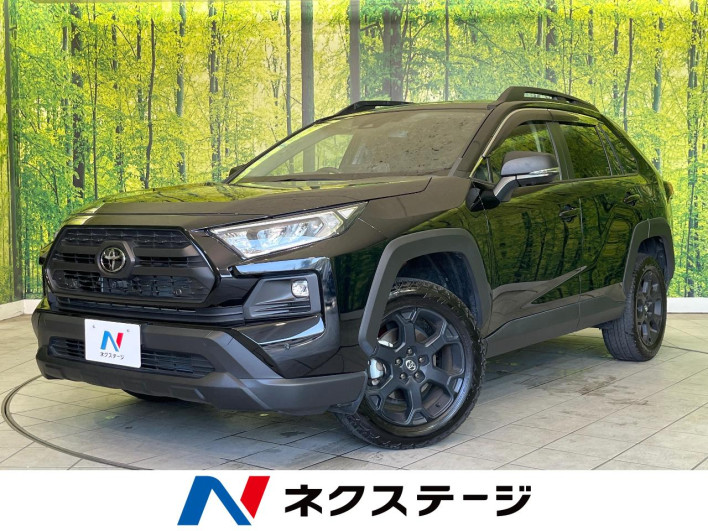 2025 Toyota RAV4 6BA-MXAA54 (UW-69f0675501b51)[3]