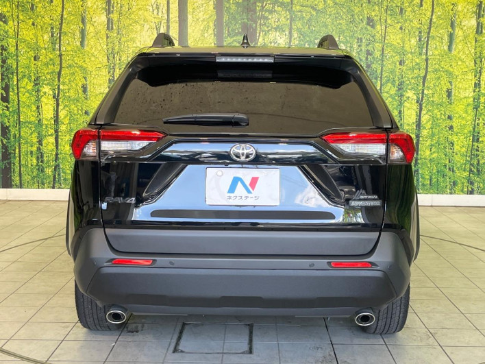 2025 Toyota RAV4 6BA-MXAA54 (UW-69f0675501b51)[21]