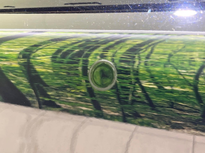 2024 Toyota Prius 6AA-MXWH60 (UW-69f0676639aff)[6]