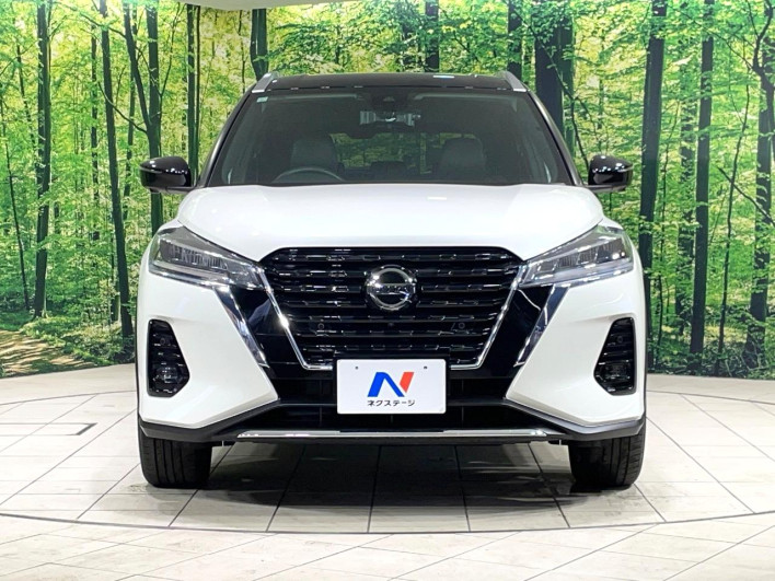 2021 Nissan Kicks 6AA-P15 (UW-69f067803bb46)[13]