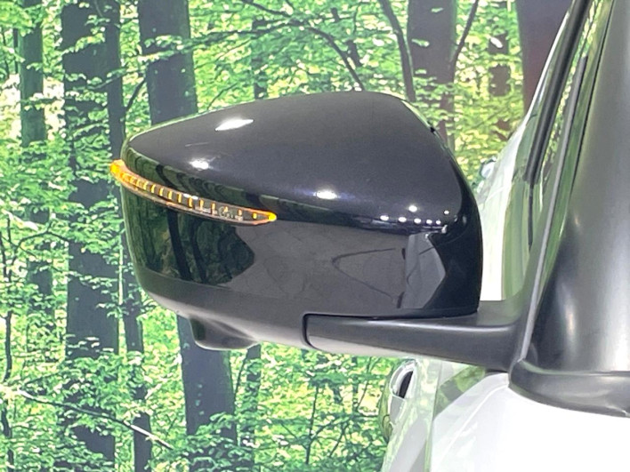 2021 Nissan Kicks 6AA-P15 (UW-69f067803bb46)[11]