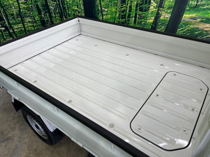 2021 Daihatsu Hiace Truck 3BD-S510P (UW-69f0678dc2f24)[12]