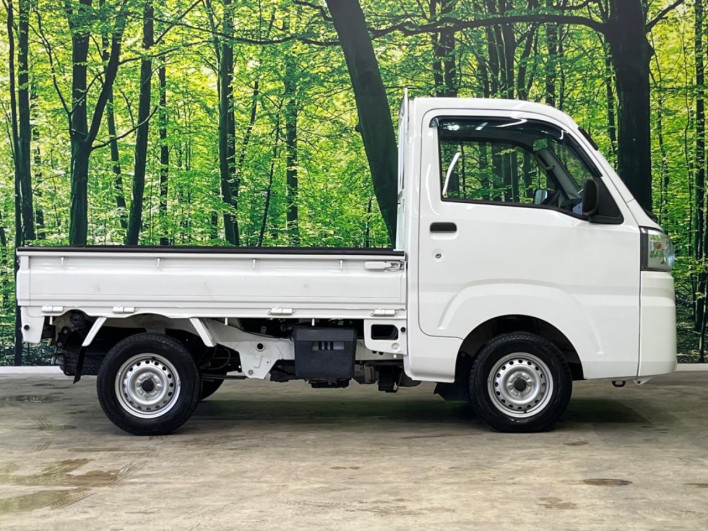 2021 Daihatsu Hiace Truck 3BD-S510P (UW-69f0678dc2f24)[24]