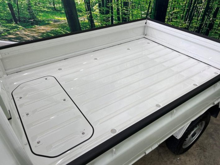 2021 Daihatsu Hiace Truck 3BD-S510P (UW-69f0678dc2f24)[7]