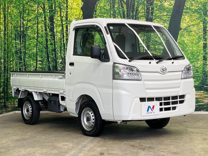 2021 Daihatsu Hiace Truck 3BD-S510P (UW-69f0678dc2f24)[22]
