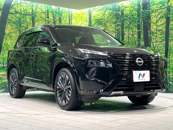 2025 Nissan X-Trail 6AA-SNT33 (UW-69f0679647eb5)[12]