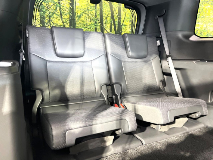 2024 Toyota Land Cruiser 250 3BA-TRJ250W (UW-69f0679b61b2e)[9]