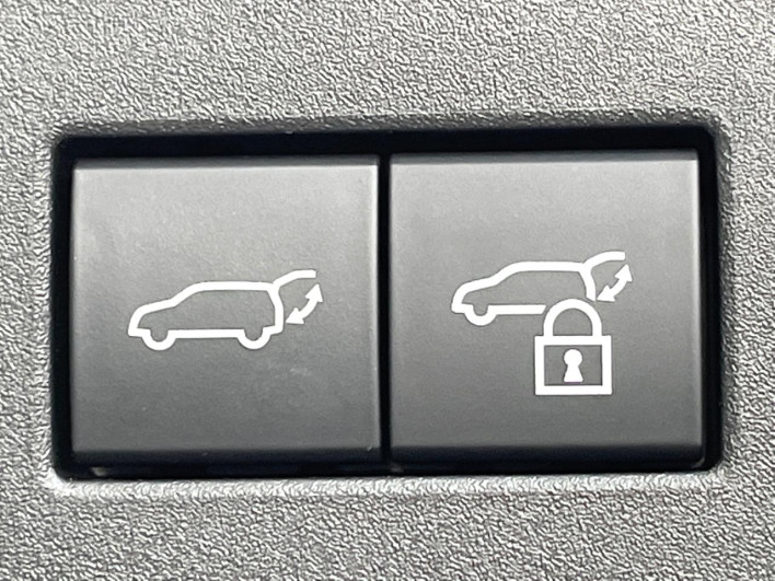 2025 Toyota Land Cruiser 250 3BA-TRJ250W (UW-69f0679b6b76c)[18]