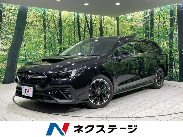 2023 Subaru Levorg 4BA-VN5 (UW-69f067a386b94)[3]