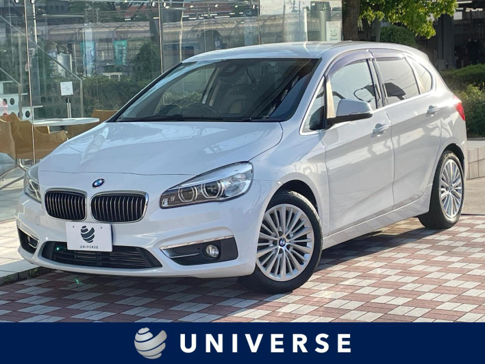 2014 BMW 2 Series DBA-2A15 (UW-69f067a600095)[3]